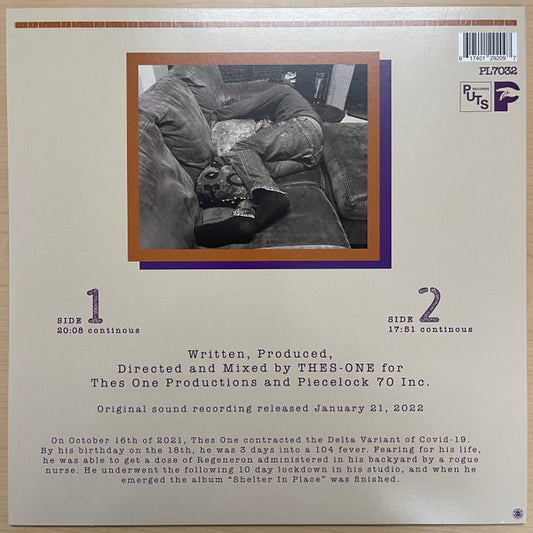 Thes One : Shelter In Place (LP, Ltd, Pur)