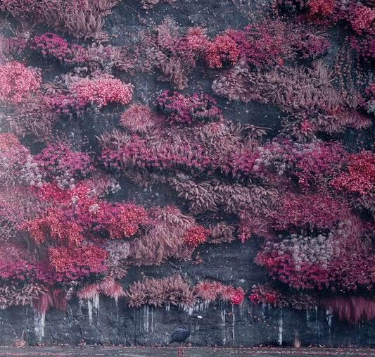 Sleep Token : Even In Arcadia (2xLP, Ltd, Bla)