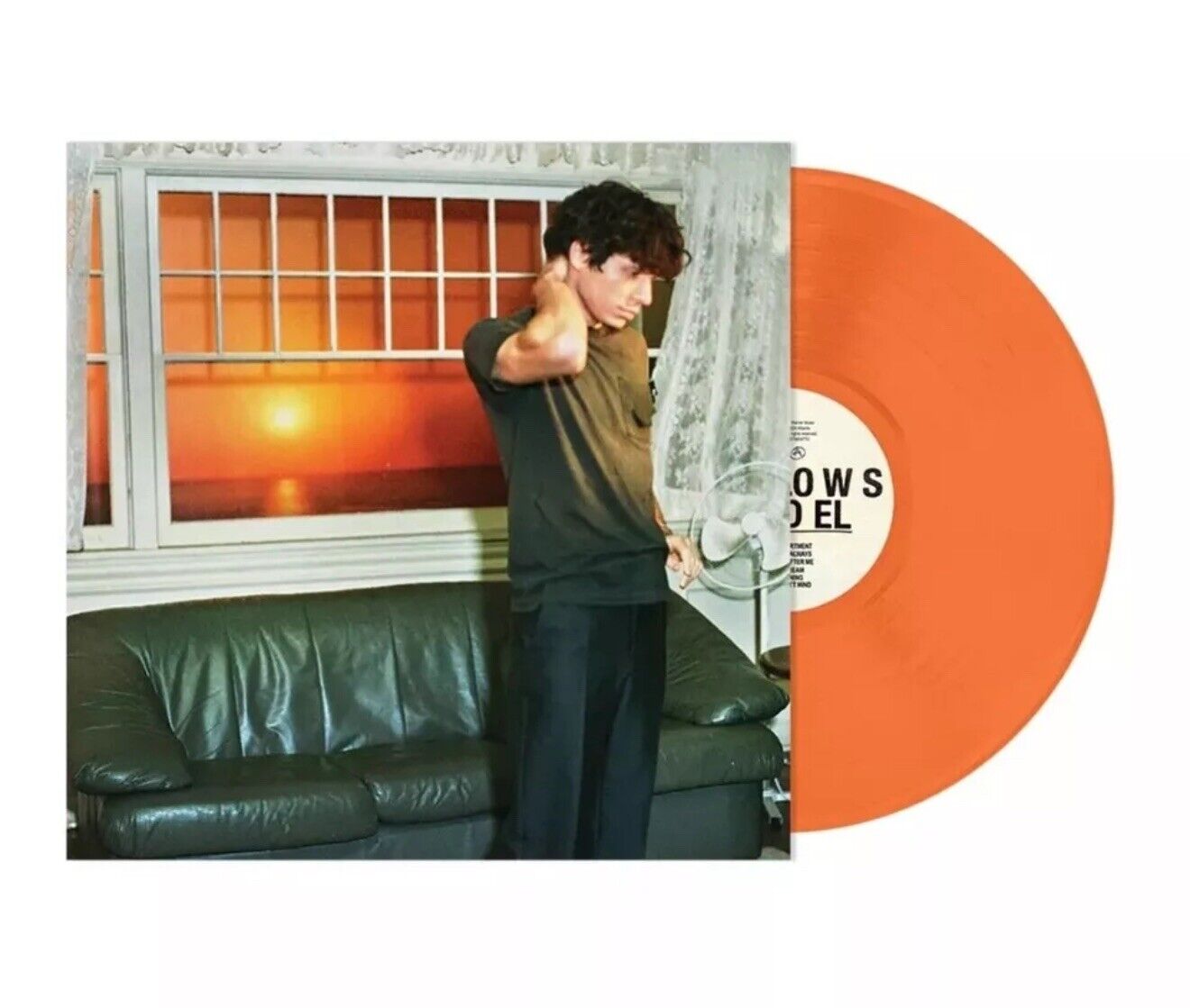 WALLOWS Model Exclusive Braeden Edition Vinyl + BONUS 7"