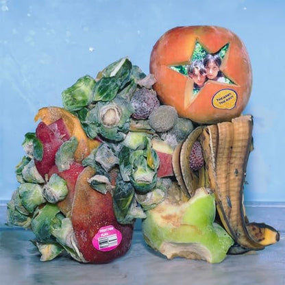 The Army, The Navy : Sugar For Bugs, Fruit For Flies (LP, EP)