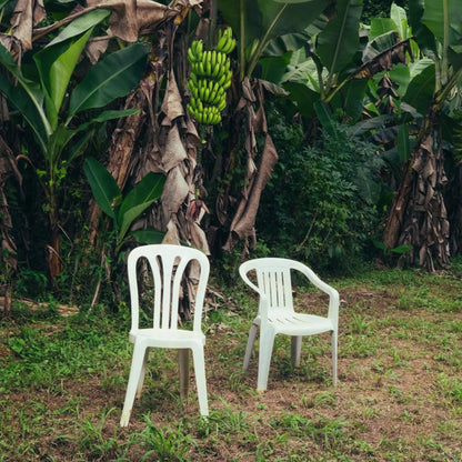 Bad Bunny : Debí Tirar Más Fotos (2xLP, Album, Blu)