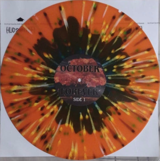 Driveways (2) : October Forever (LP, Ora)