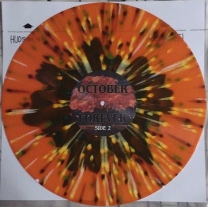 Driveways (2) : October Forever (LP, Ora)