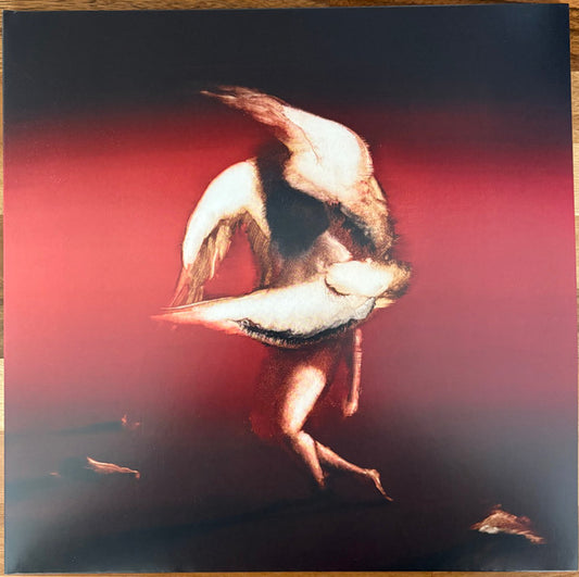 Maruja (2) : Pain To Power (LP, Dlx, Ltd, Bla)