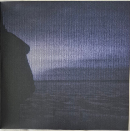 Danny L Harle : Cerulean (LP, Album, Blu)